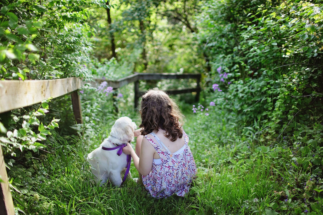 Pioneer Paws is Carbon Neutral