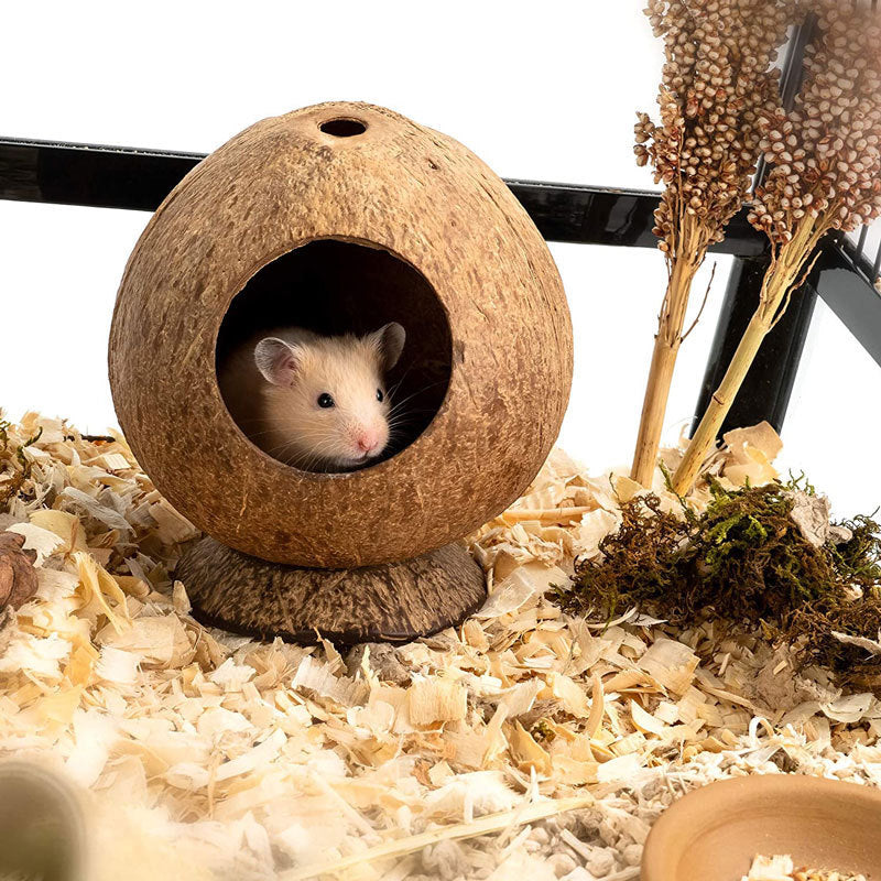 Fashionable Hamster Toy Supplies For Home Use