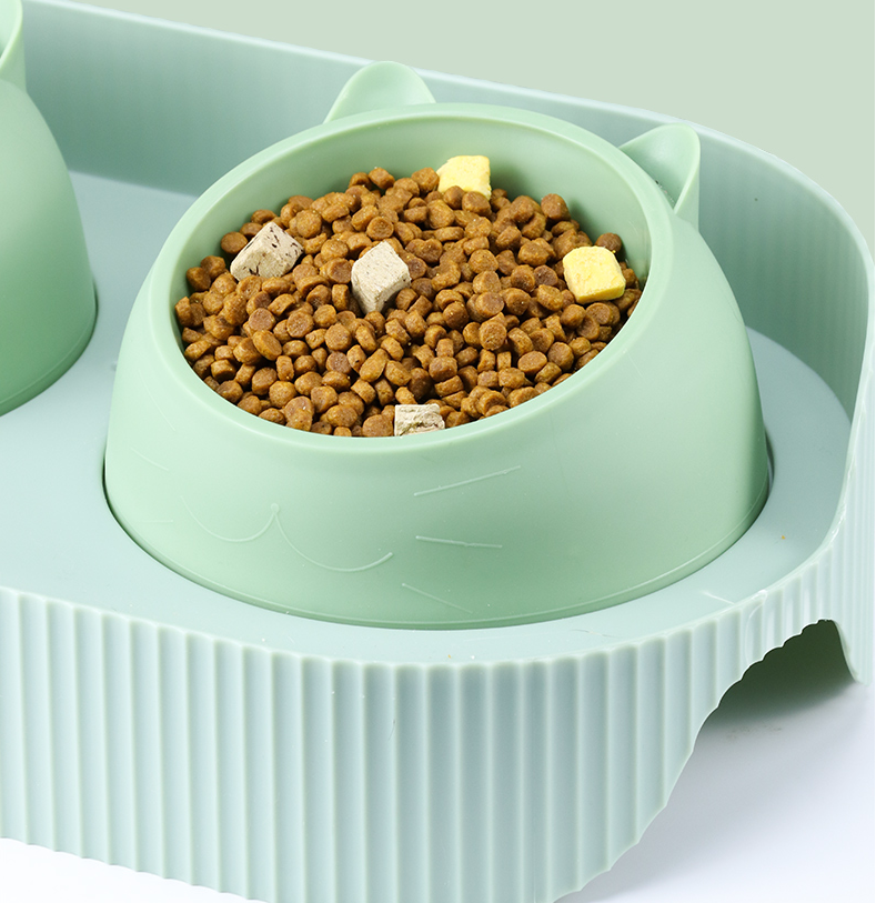 A CJdrop Ceramic Food and Water Bowl Station for Cats with two bowls of food.