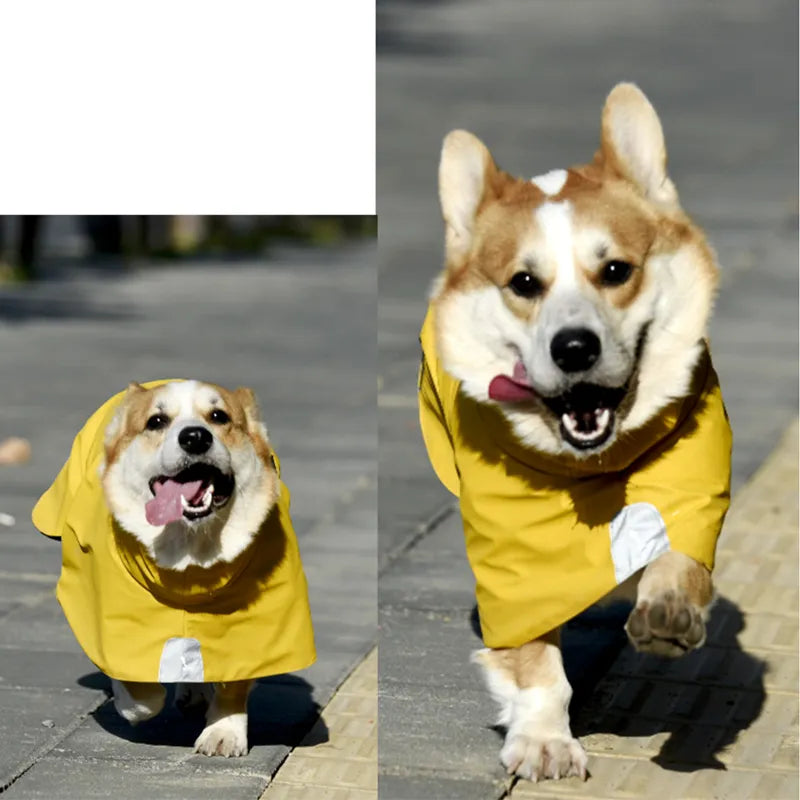 Pet Shell Jacket Dog Waterproof Windproof Raincoat