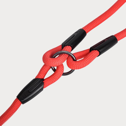 Dual Dog Walker Lead - Padded Handle for Comfort