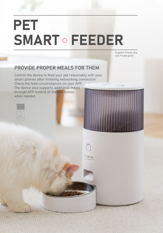 Modern Stainless Steel Automatic Pet Feeder for Small Dogs and Cats