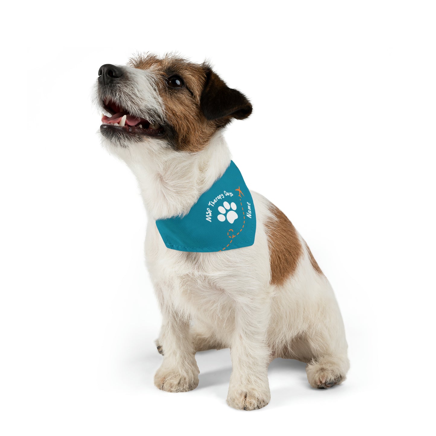 Therapy Dog Bandana Collar