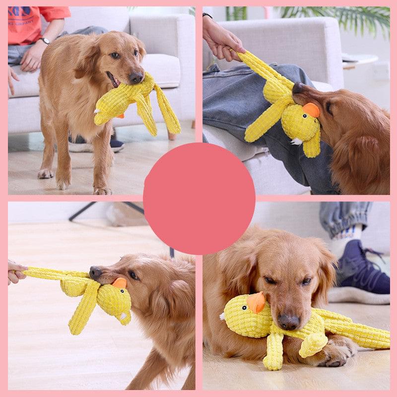 Plush Toys for Dogs: Cute Duck, Frog, and Monkey