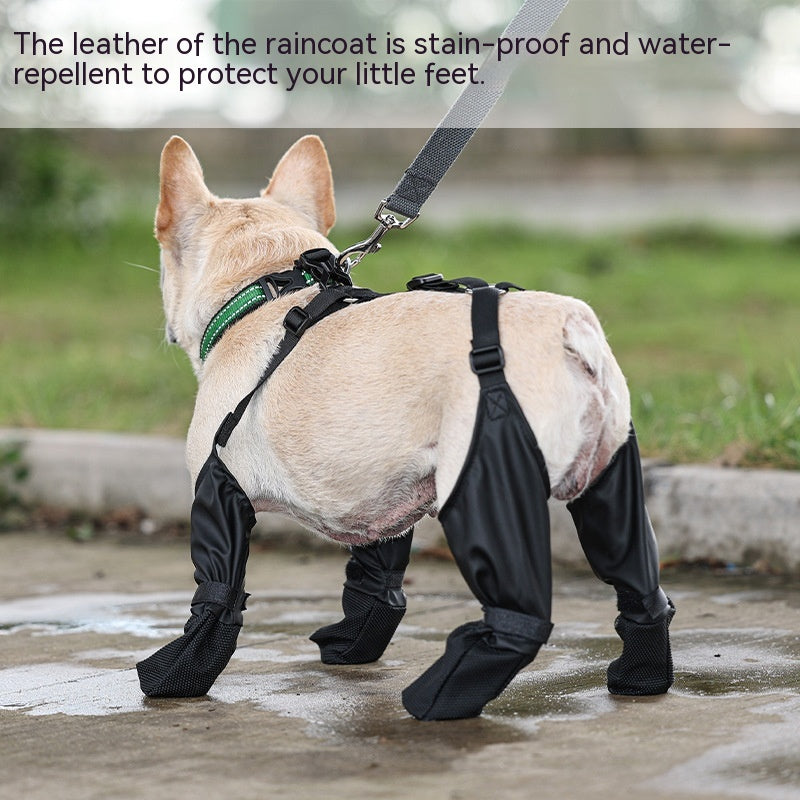 A waterproof dog wearing a pair of CJdrop Pet Dog Dog Shoes Four Seasons Waterproof Pet Products boots.