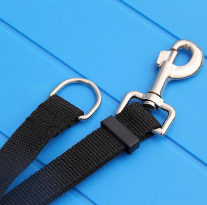 Training Pet Leash in a Variety of Colors and Lengths