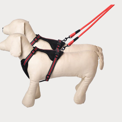 Dual Dog Walker Lead - Padded Handle for Comfort