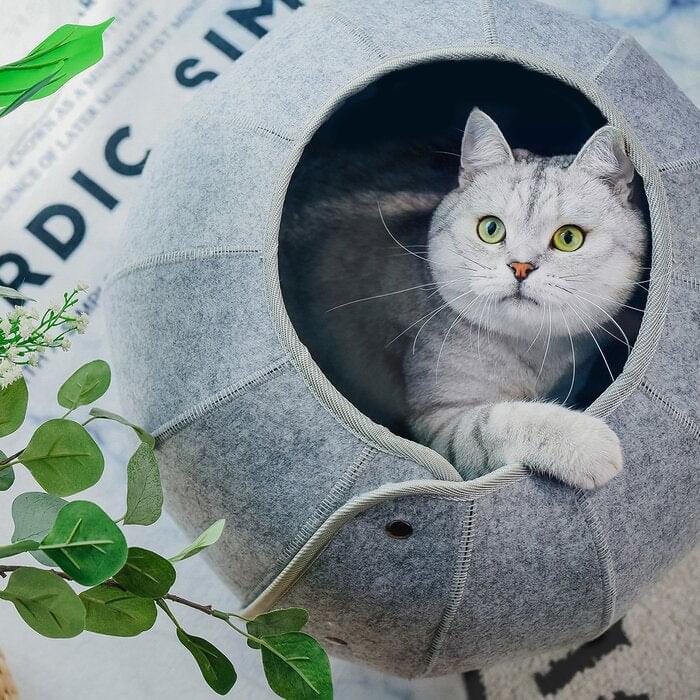 Flexible Tunnel Shaped Cat Cave