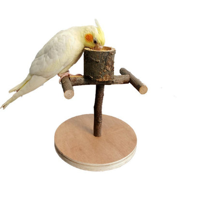 Wooden Framed Parrot Toys