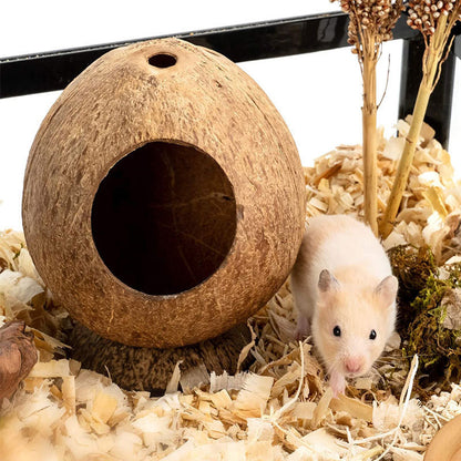 Fashionable Hamster Toy Supplies For Home Use