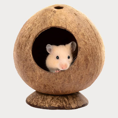 Fashionable Hamster Toy Supplies For Home Use