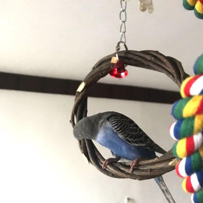 A blue CJdrop pet parakeet perched on an Applewood Rattan Ring Frame for Birds.