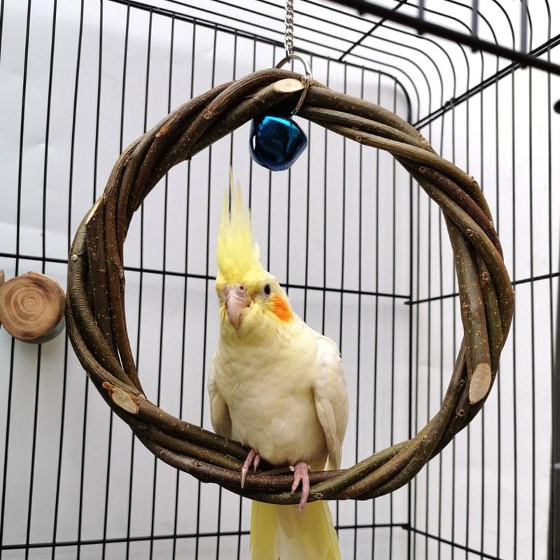 A yellow and white cockatiel, a pet animal, is sitting in a CJdrop Applewood Rattan Ring Frame for Birds.