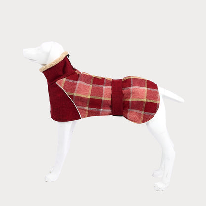 a white dog wearing a red plaid coat