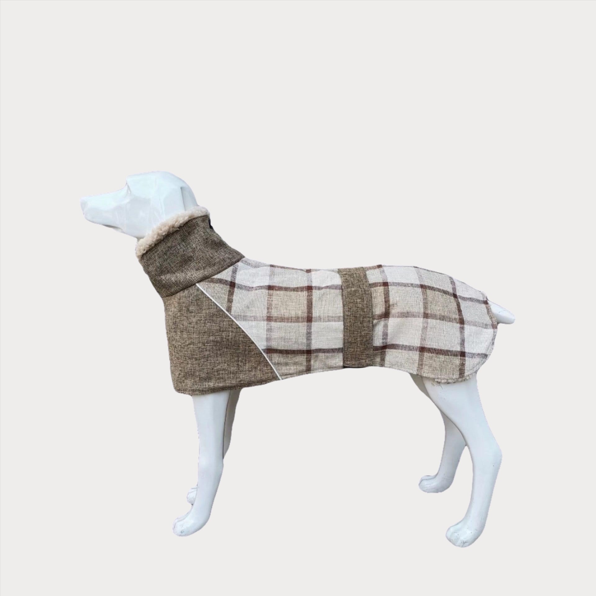 a dog is wearing a coat with a hood