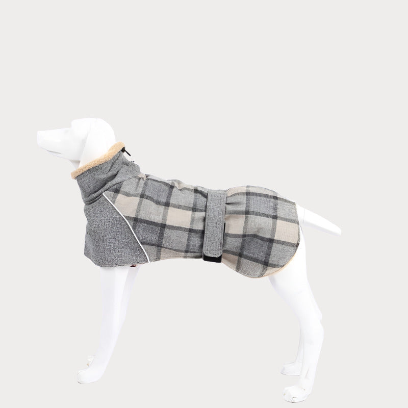 a white dog wearing a gray and black plaid coat