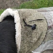 a close up of an elephant wearing a blanket