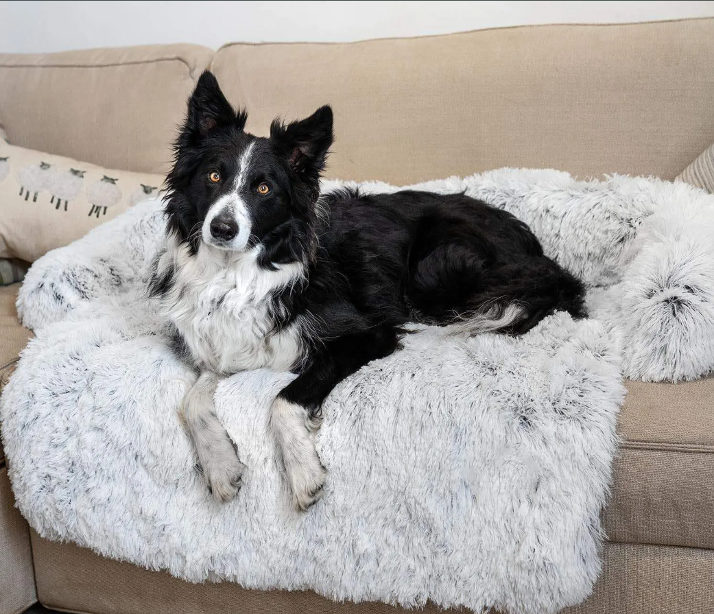 Cozy Zippered Dog Bed with Removable Velvet Cover