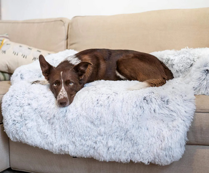 Cozy Zippered Dog Bed with Removable Velvet Cover