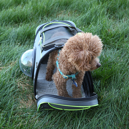 Carry-On Breathable Travel Carrier Bag for Cats and Dogs