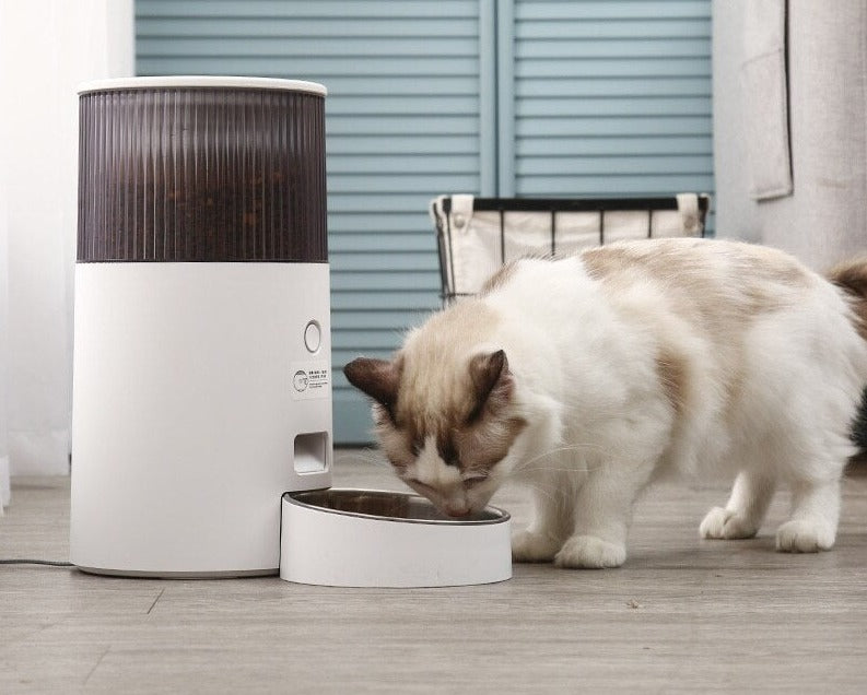 Modern Stainless Steel Automatic Pet Feeder for Small Dogs and Cats