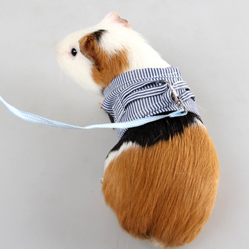 Rabbit, Guinea Pig, Chinchilla, and Mink Pet Chest Strap Harness with Leash, Small Pet Harness Small pet leash