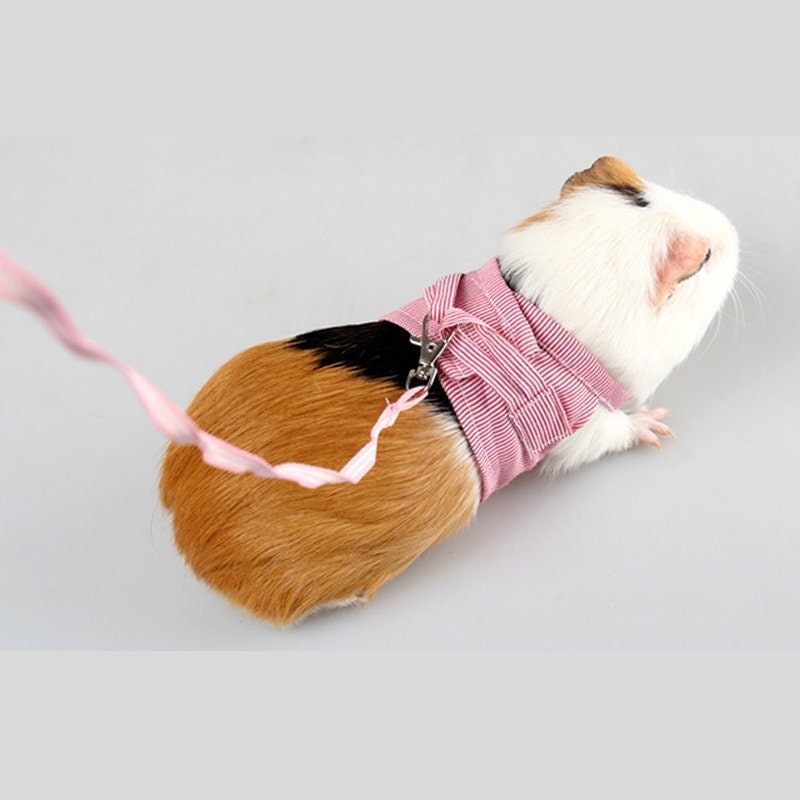 Rabbit, Guinea Pig, Chinchilla, and Mink Pet Chest Strap Harness with Leash, Small Pet Harness Small pet leash