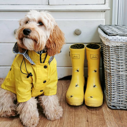 Pretty Yellow Dog Raincoat - Pet Clothes, Rain Jacket with Hoodie, Pocket Adjustable Fit, For Small Medium Large Dogs, Modern and Stylish