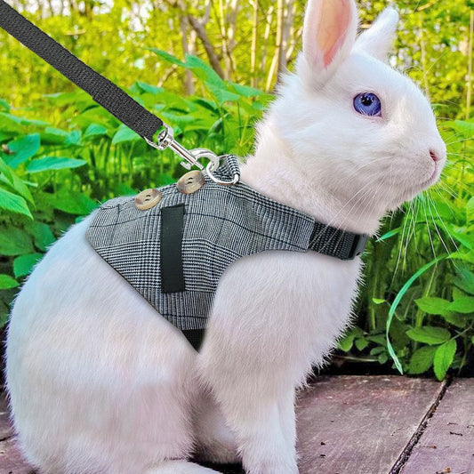 Rabbit Vest Harness, Bunny Clothes, Cloth Harness with Long Leash, Small Pet Harness and Leash